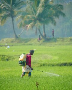 pexels photo 36436059 36436059 A South Asian farmer spraying pesticide on a lush green field in Tenkasi, Tamil Nadu.